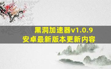 黑洞加速器v1.0.9 安卓最新版本更新内容